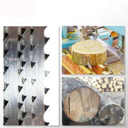 Tungsten Carbide Teeth Tct Band Saw Blade for Hard Woodworking.jpg